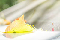 状态火热 状态火热