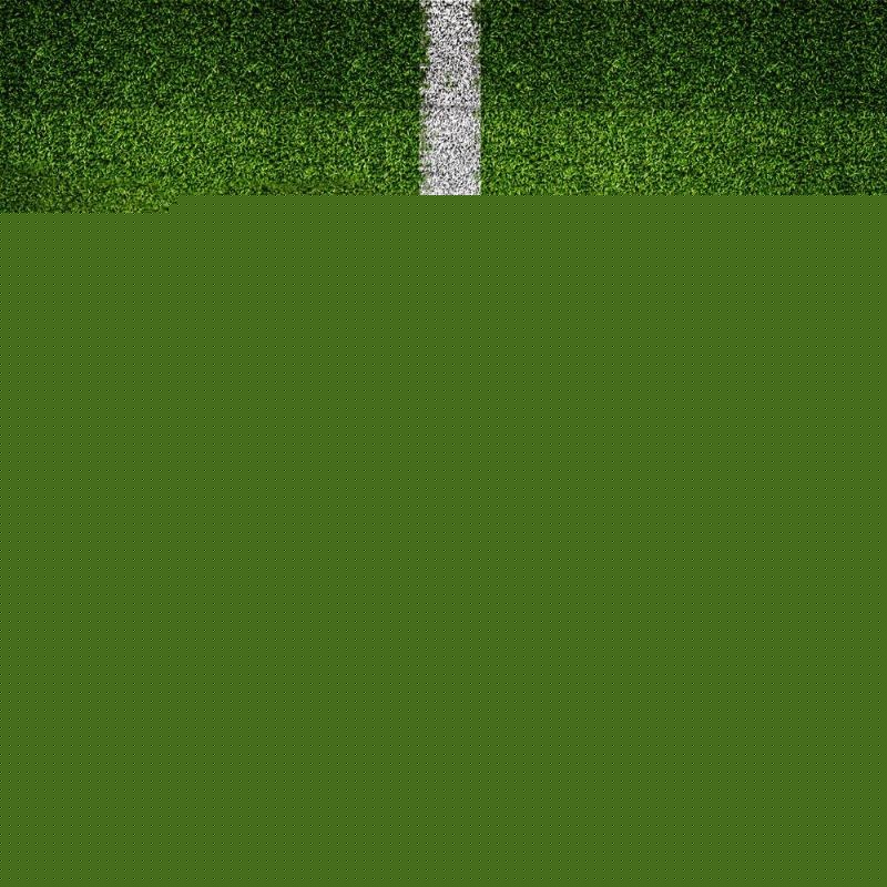 葡萄牙参加 葡萄牙参加