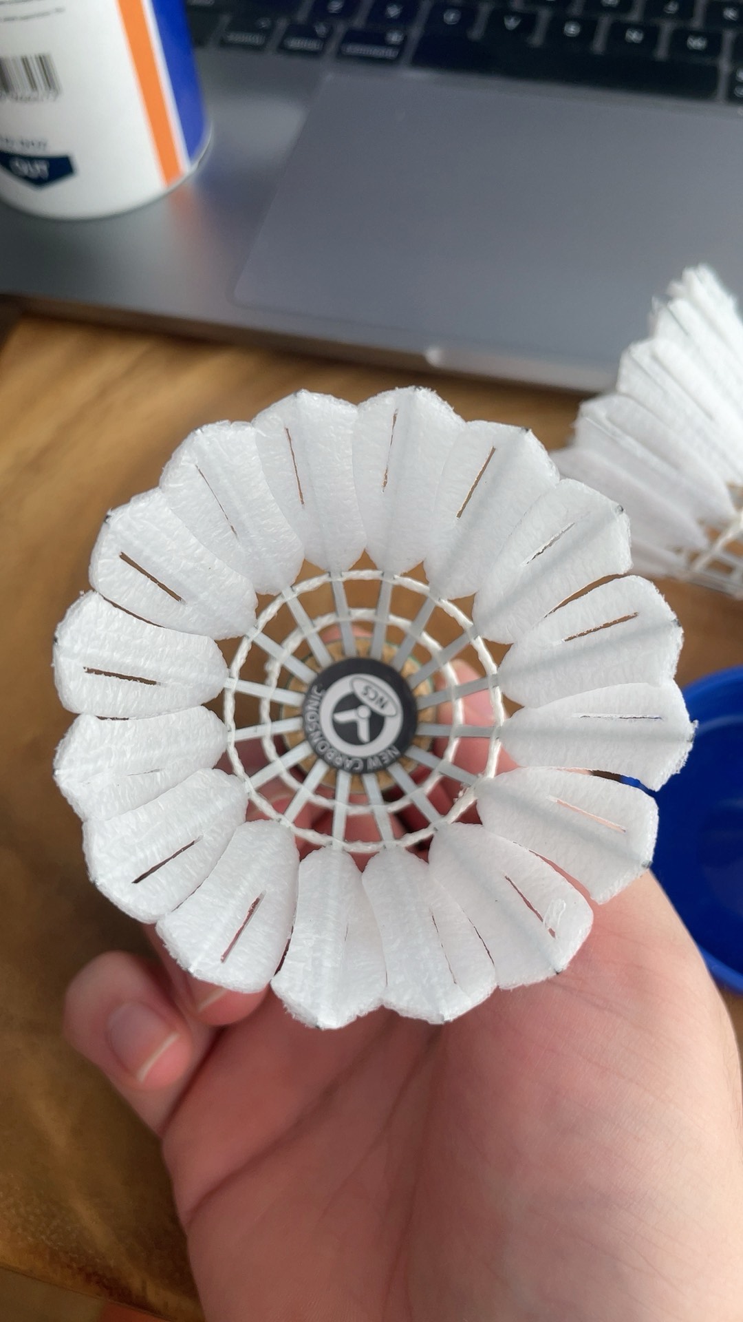 范围假设 范围假设